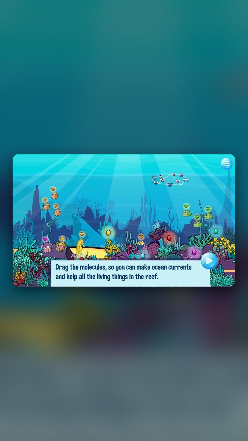 Exploring the coral reef
